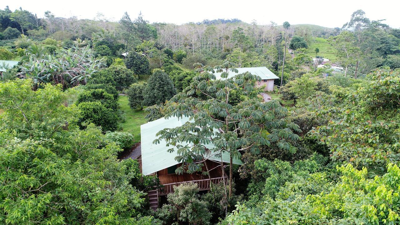 Finca Amistad Cacao Lodge Бихагуа Екстериор снимка