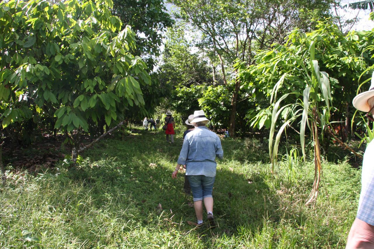Finca Amistad Cacao Lodge Бихагуа Екстериор снимка