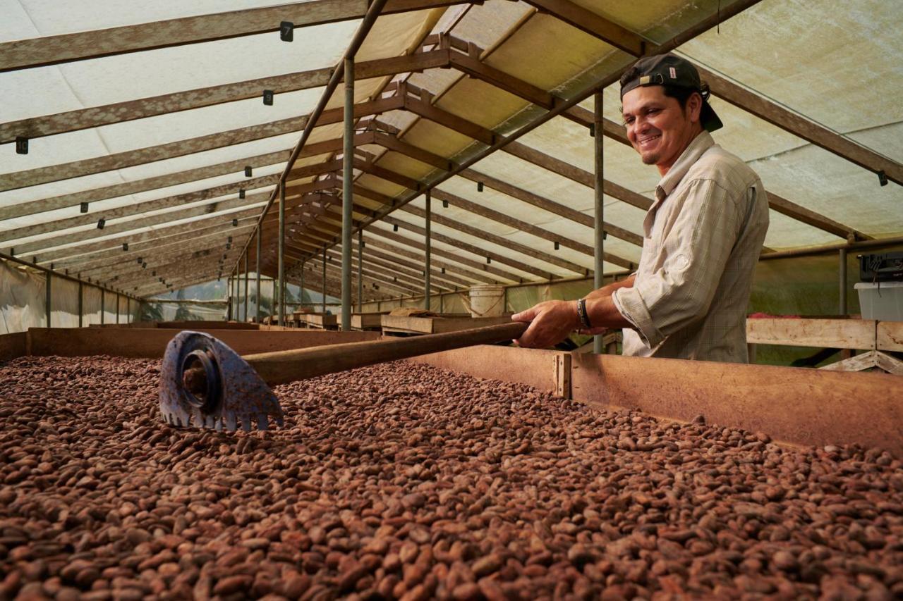 Finca Amistad Cacao Lodge Бихагуа Екстериор снимка